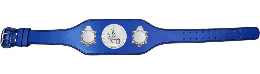 WRESTLING CHAMPIONSHIP BELT-BUD003/S/WRESTS-4 COLOURS